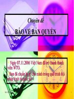 Chuyên đề bảo vệ bản quyền và luật sở hữu trí tuệ