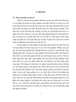 Luận văn đánh giá hiêụ quả kinh tế trong hoạt động chế biến một số loại nông sản phẩm của hộ nông dân ở tỉnh hưng yên 