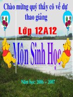 Bài 39: Quá trình hình thành đặc điểm thích nghi - Sinh 12