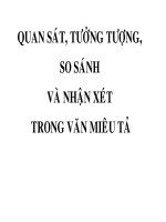 Gián án BAI: QUAN SAT, TUONG TUONG, SO SANH VA NHAN XET TRONG VAN MIEU TA