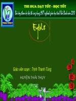 Bài giảng Unit 13. Festivals. Read