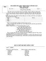 ĐÈ THI HSG TIẾNG VIỆT 4 HKI