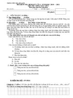 De KT giua ky 1 mon Toan va TV lop 3