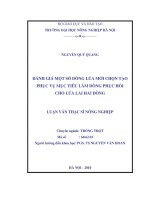 Đánh giá một số dòng lúa mới chọn tạo phục vụ mục tiêu làm dòng phục hồi cho lúa lai hai dòng