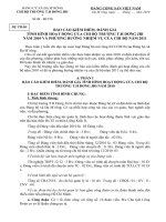 Báo cáo chi bộ năm 2010 và phương hướng nam 2011