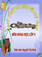 Ôn tập học kì I - Khoa học