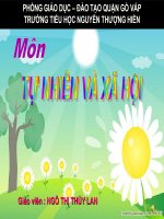 Khả năng kỳ diệu của lá cây -TNXH3