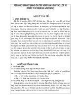 SKKN xếp loại C Thành phố- 2009-2010