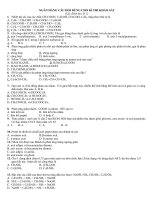 ôn tập thi học kì