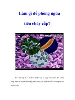 Làm gì để phòng ngừa tiêu chảy cấp?