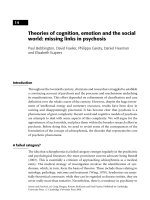 Theories of cognition, emotion and the social world - missing links in psychosis