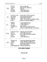 GIAO AN TUAN 20- LOP 4 CKTKN+KNS