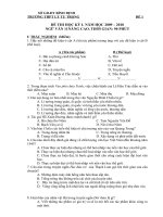 DE+DA  THI HK.I (TN + TL) VAN 11 VIP