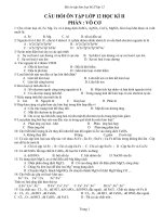 Gián án ĐỀ CƯƠNG ÔN HÓA KH II 12
