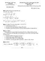 De thi HK I mon Toan tinh Nam Dinh(2010-2011)