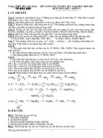 Bài giảng Đề cương học kỳ I-Khối 11-2010