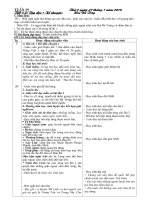 Tuần 19 lớp 3(KNS, có luyện)