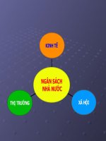 VAI TRÒ điều TIẾT vĩ mô của NGÂN SÁCH NHÀ nước TRONG vấn đề AN SINH xã h 