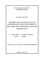 Mở rộng cho vay hộ sản xuất tại chi nhánh ngân hàng nông nghiệp và phát triển nông thôn huyện ngọc hồi, tỉnh kon tum 