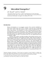 Quantitative aspects of ruminant digestion and metabolism - Phần 7