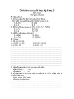 đe thi cuoi HKI lop 5