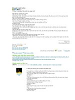 Gián án chuyen cuoi vôva