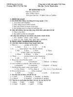 Gián án Đề thi HKI E6 NH 2010 - 2011