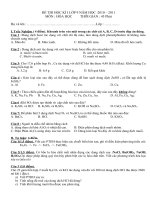 ĐỀ THI HOC KI I LỚP 9 2010 -2011