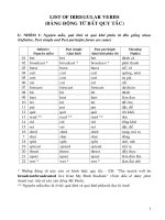 Tài liệu bang dong tu bat quy tac