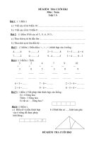 De  kiem tra toan - Tieng viet  Lop 3