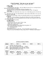 Gián án G.A Tuần 3: Bé yêu các con vật (Những con vật sống dưới nước ( 3-7/1/2011)