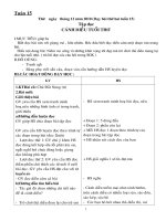 giáo án L5 tuần 17