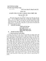 Bài soạn So Ket Doi TNTP nam 2011