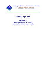Vi sinh vật đất P7