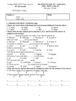 DE KIEM TRA 10 CB +DA