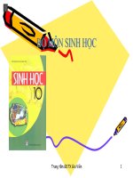 HÔ HẤP TẾ BÀO- SINH 10-GDTX