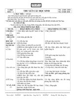 Giáo án TV Lớp 5  tuân1 2010