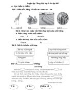 Bài giảng on tap lop 1 toan TV