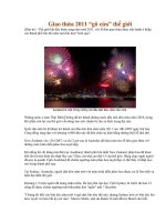 Gián án HÌNH ẢNH NĂM MỚI 2011 THẾ GIỚI