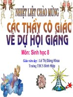 Gián án Bài 38: BÀI TIẾT VÀ CẤU TẠO HỆ BÀI TIẾT NƯỚC TIỂU