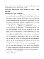 THỰC TRẠNG HẠCH TOÁN NGHIỆP VỤ LƯU CHUYỂN HÀNG HOÁ NHẬP KHẨU TẠI CÔNG  TY TNHH VĂN  MINH