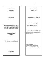 Phát triển nguồn nhân lực cho khu kinh tế dung quất 