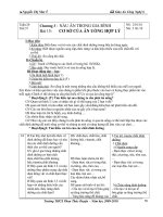 Bài giảng giao an công nghệ 6 HKII