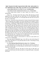 THỰC TRẠNG TỔ CHỨC HẠCH TOÁN TIÊU THỤ  HÀNG HOÁ VÀ XÁC ĐỊNH KẾT QUẢ TIÊU THỤ TẠI CÔNG TY GAS PETROLIMEX