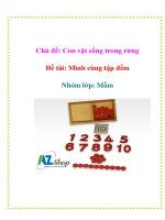 Chủ đề: Con vật sống trong rừng - Đề tài: Mình cùng tập đếm - Nhóm lớp: Mầm