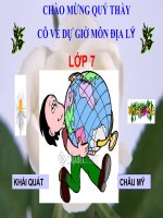 Bài giảng Tiết 40 - Khái quát châu Phi