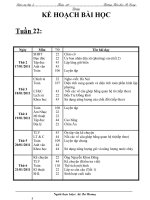 Bài soạn GA lớp 5-tuần 22-CKTKN-KNS-2010-2011