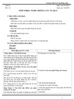 Bài giảng Giáo án CN 9(ca nam)