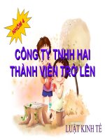 CÔNG TY TNHH HAI THÀNH VIÊN TRỞ lên 