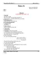 Gián án GIAO AN CHIEU  T19 -  LOP 1(HT1)